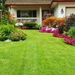 top rated landscape companies near me