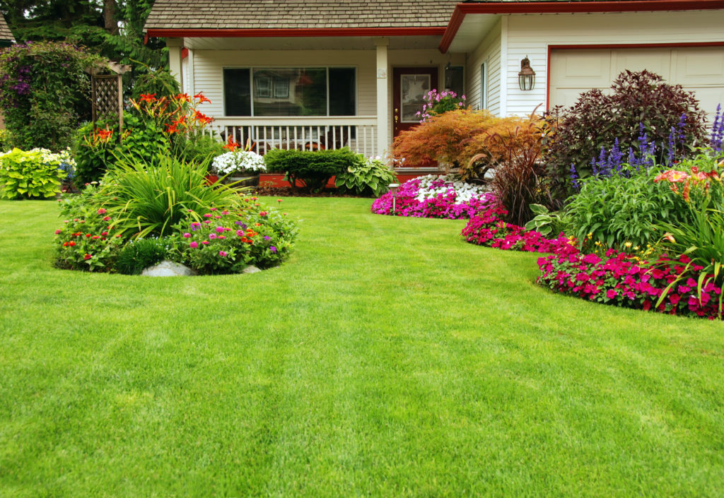 top rated landscape companies near me