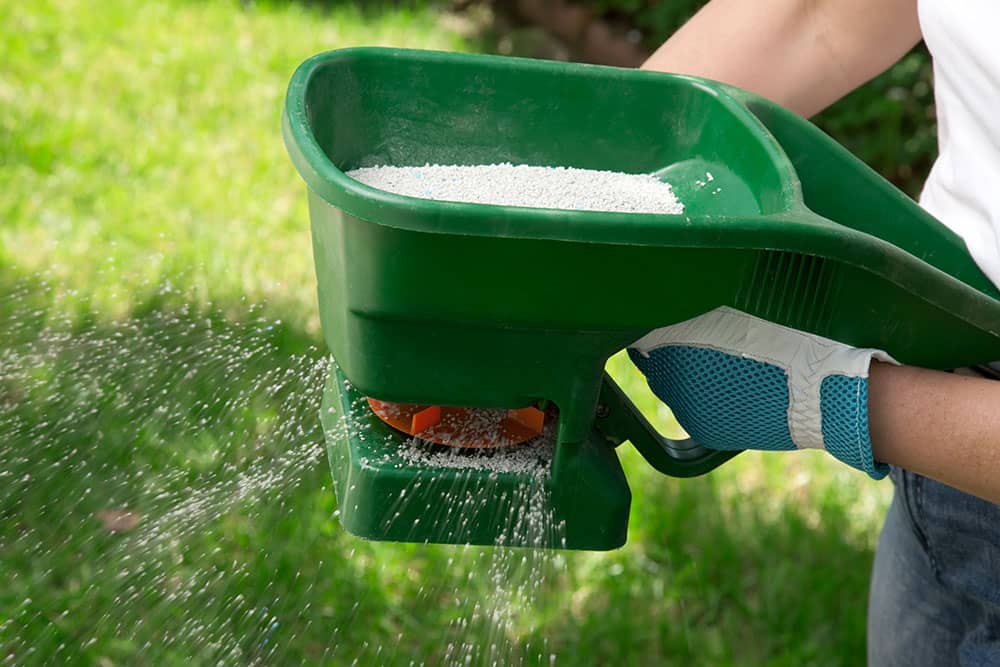 best lawn fertilizing company